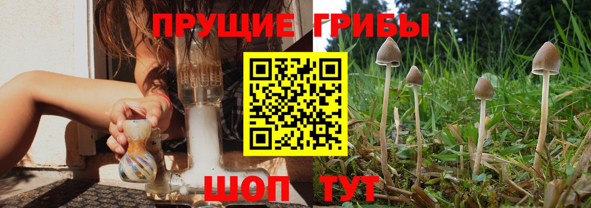 Галлюциногенные грибы мицелий  Вход с VPN  цена наркотик  Горно-Алтайск  Галлюциногенные грибы GOLDEN TEACHER 